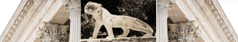 Marble Tiger carved by my Uncle and Grandfather